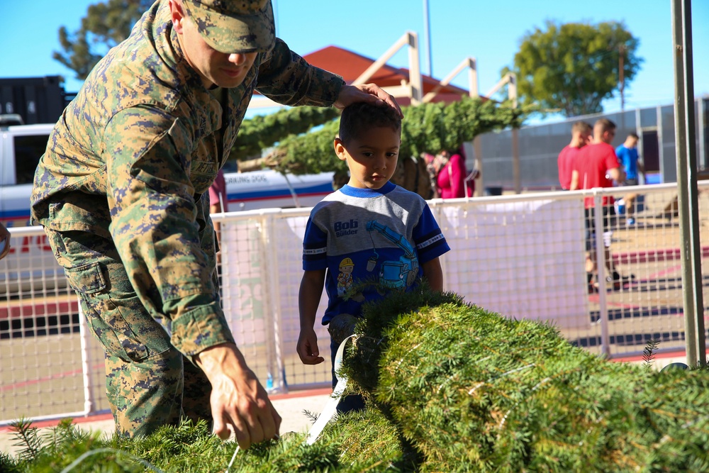 Tree giveaway spreads holiday cheer through MCAS Miramar
