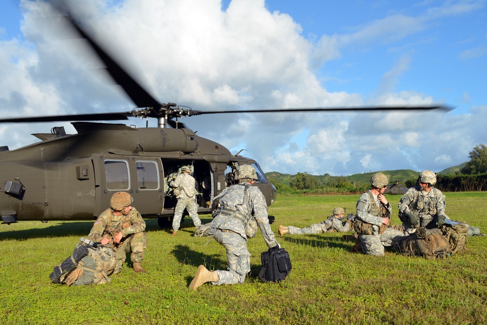 2-35 Inf. Regt. air assault mission