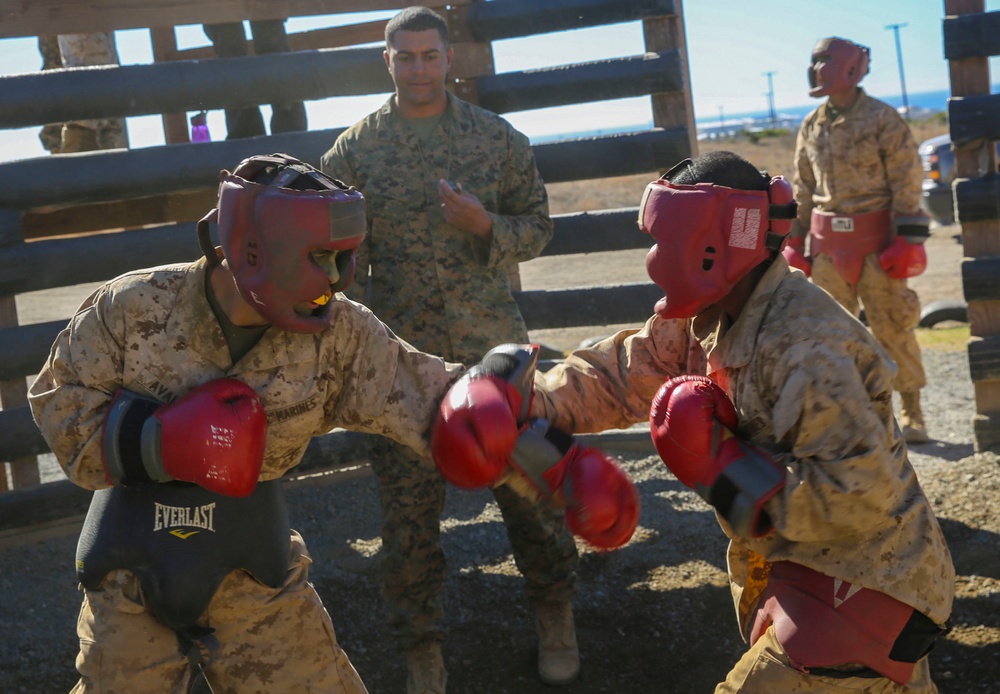 Co. M - Body Boxing at the Crucible