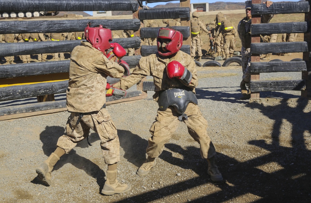 Co. M - Body Boxing at the Crucible