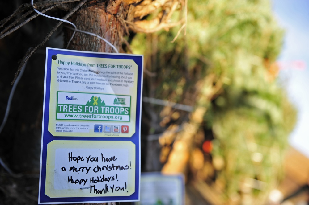 Trees for Troops bringing holiday cheer to Ellsworth