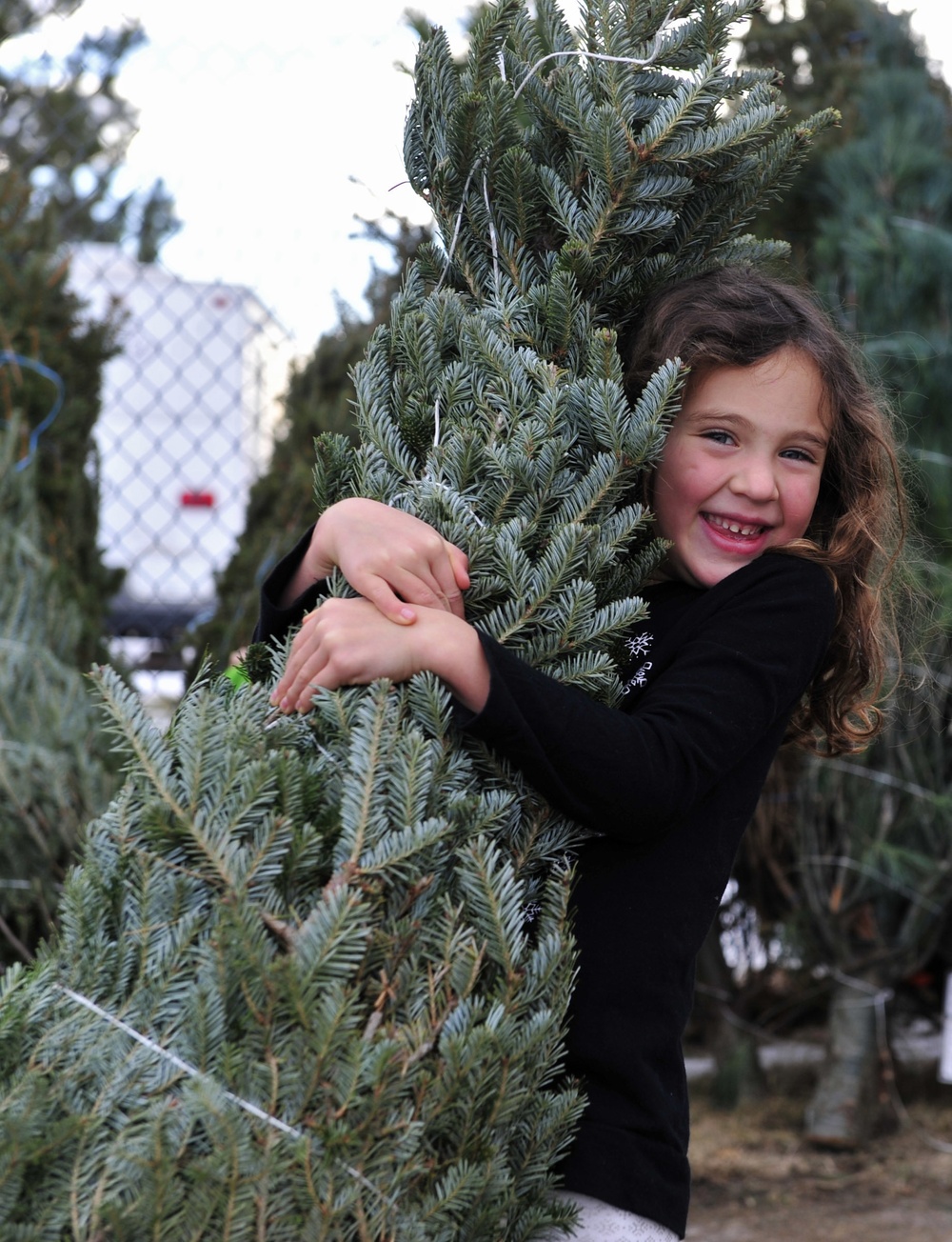 Trees for Troops bringing holiday cheer to Ellsworth