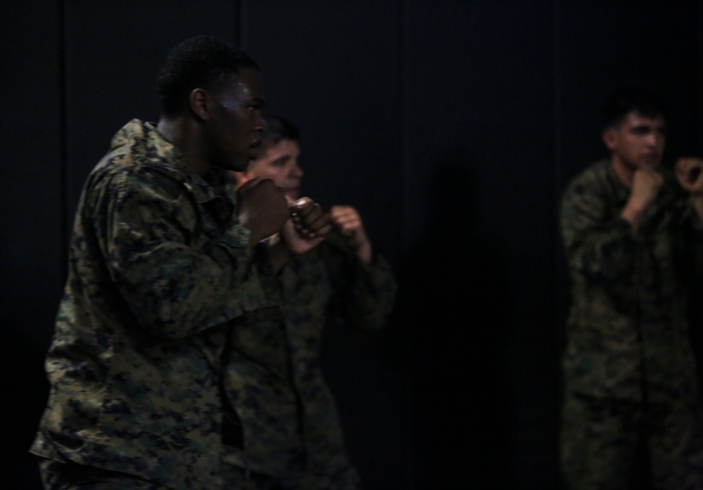 Spirit and Discipline:  MAI course pushes Marines to the limit