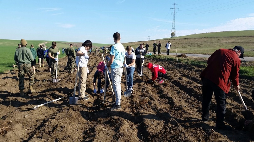 16th Sustainment Brigade Soldiers build the alliance by planting trees in Romania