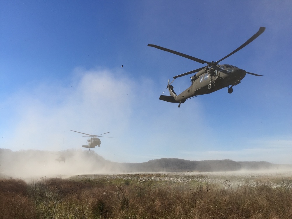 8-229th AHB conducts air assault with 101st Airborne