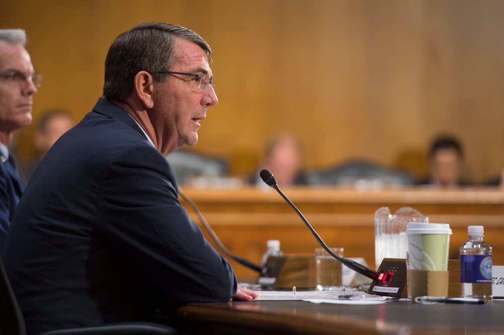 Secretary of defense testifies