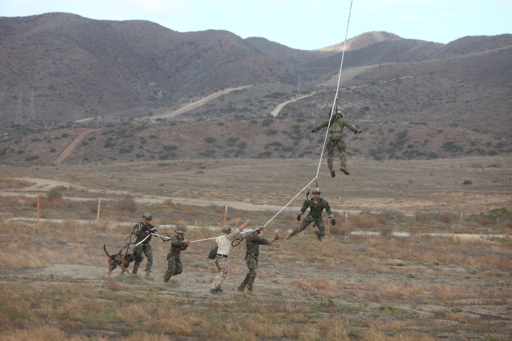 MRB SPIE Rigging and Fast Rope Training