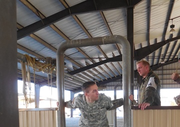 Airborne Operations - The Universal Language