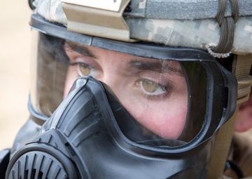 Support Battalion training for the fight