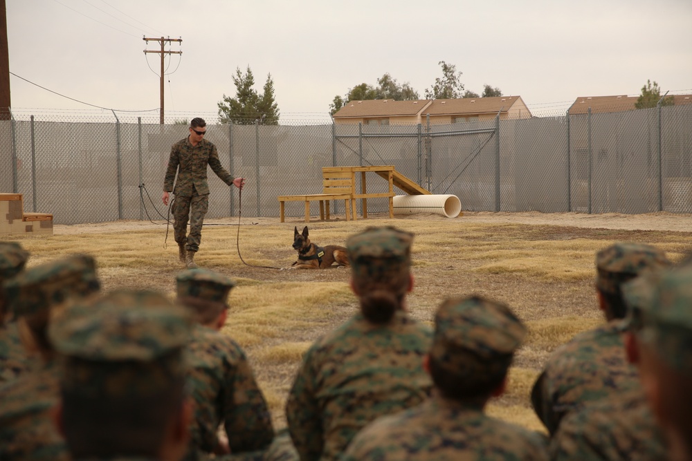 Junior cadets learn the ways of the Corps