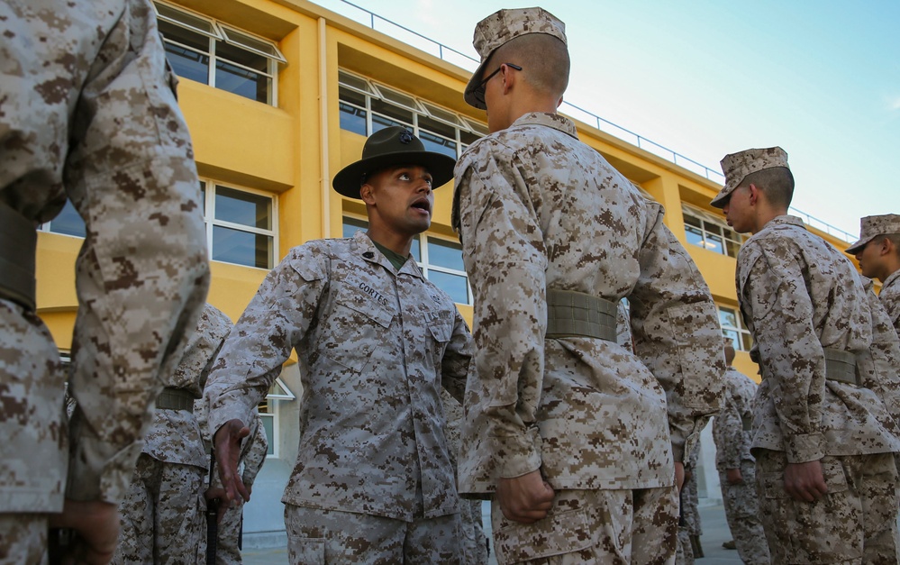 Co. G - Series Commander Inspection