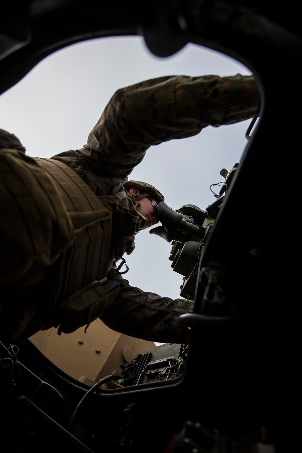 Brothers in Combined Arms: NATO allies and partners increase combined arms capabilities in Platinum Lynx 16-2