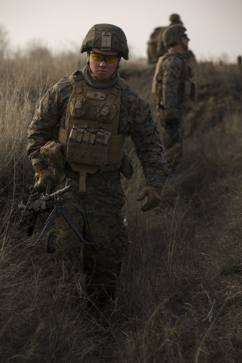 Brothers in Combined Arms: NATO allies and partners increase combined arms capabilities in Platinum Lynx 16-2
