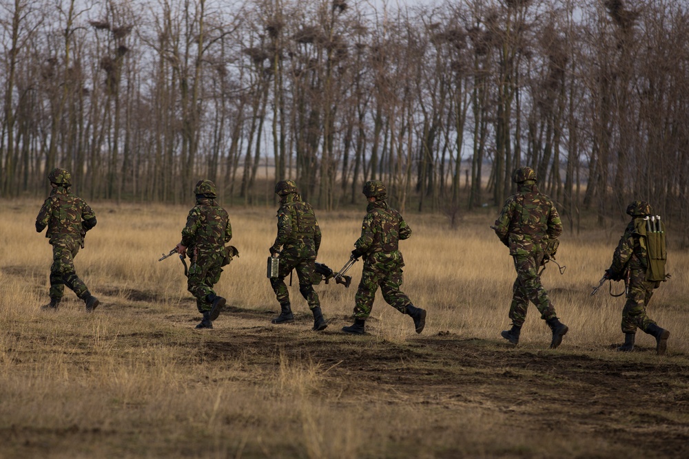 Brothers in Combined Arms: NATO allies and partners increase combined arms capabilities in Platinum Lynx 16-2