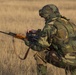 Brothers in Combined Arms: NATO allies and partners increase combined arms capabilities in Platinum Lynx 16-2