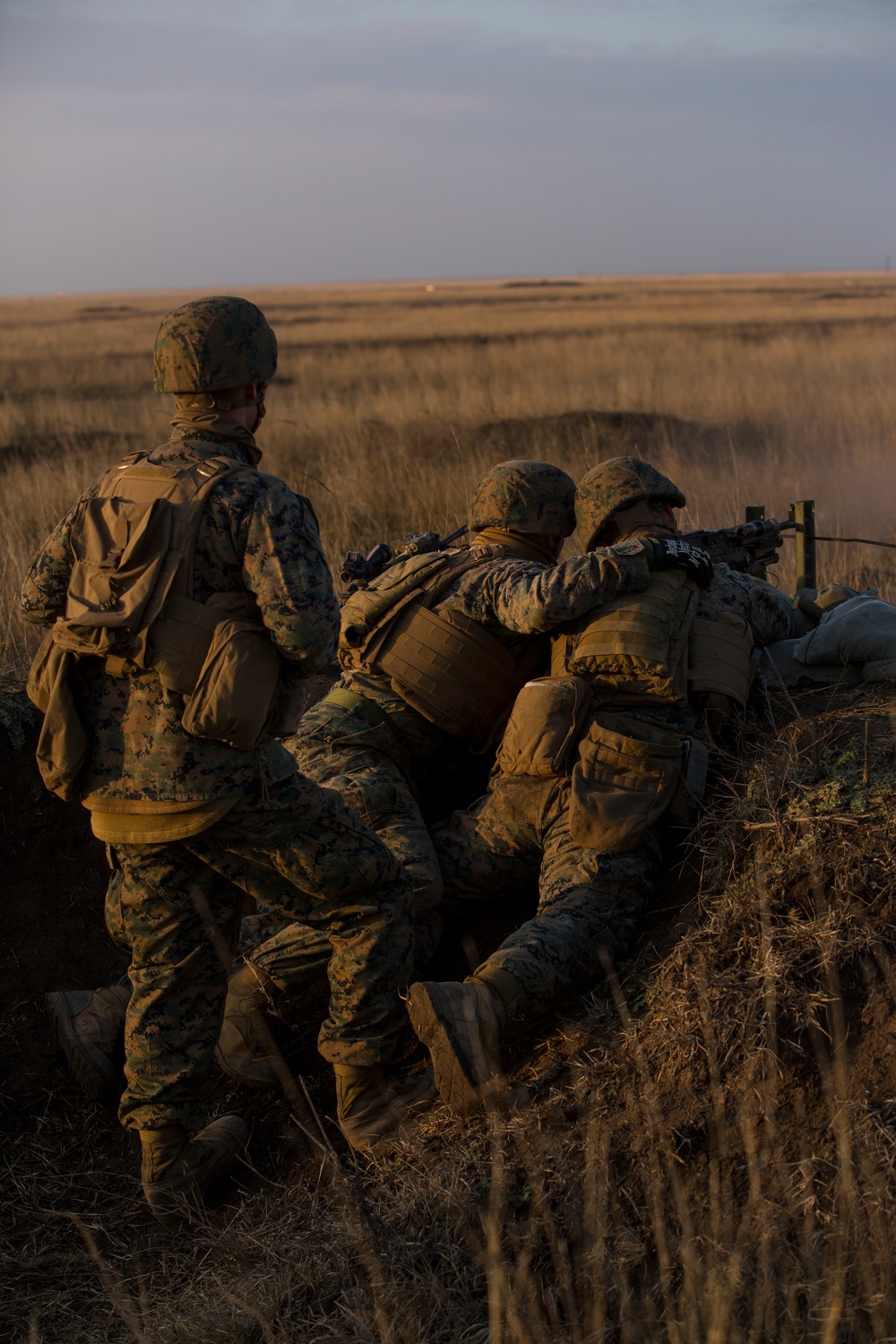 Brothers in Combined Arms: NATO allies and partners increase combined arms capabilities in Platinum Lynx 16-2