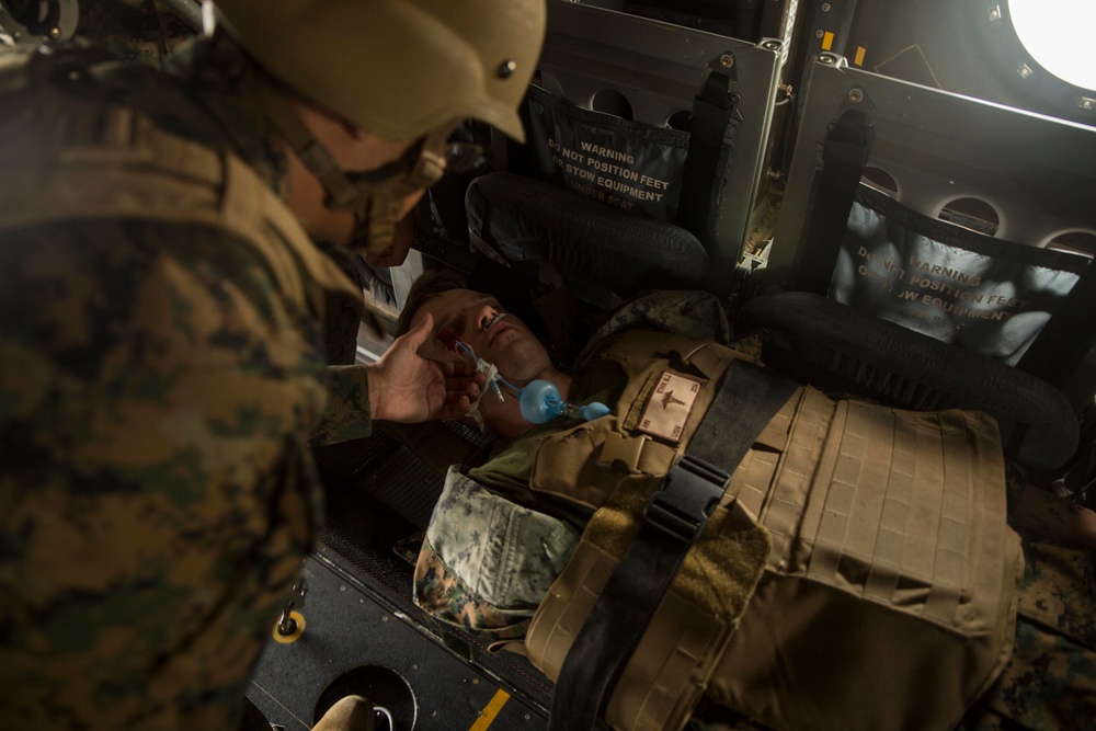 Casualties inbound: Corpsmen participate in casualty evacuation course