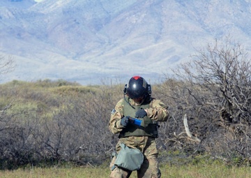 Bullseye: DIVARTY throws a DART