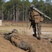 Locate, close with and destroy: 'Teufelhunden' enhances foundation on infantry skills