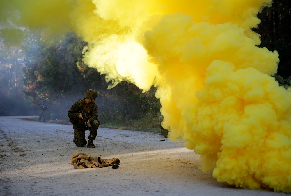 Train and assist: II MEF team prepares for Afghanistan Operation Resolute Support