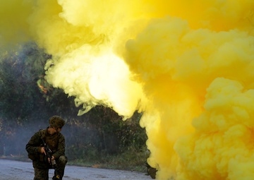 Train and assist: II MEF team prepares for Afghanistan Operation Resolute Support