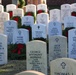 Naval Hospital Beaufort commanding officer attends annual Wreaths Across America event