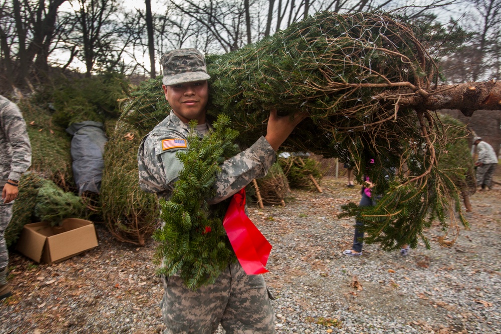 Guardsmen receive Christmas trees