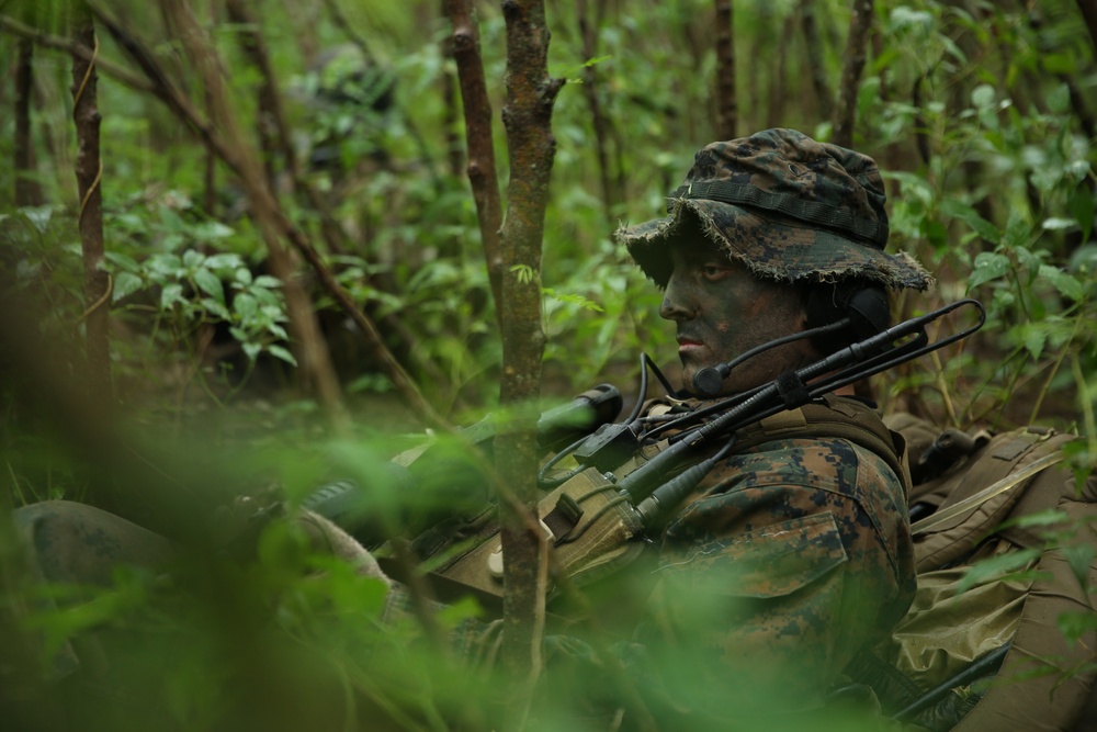 Rumble in the Jungle: 1st Recon Marines train in Hawaii