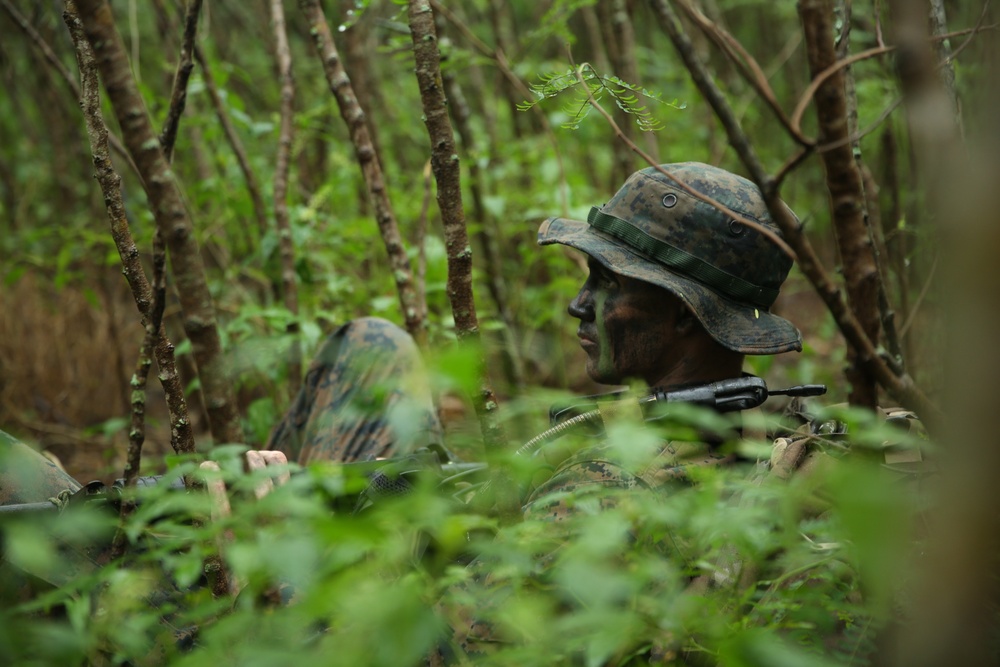 Rumble in the Jungle: 1st Recon Marines train in Hawaii