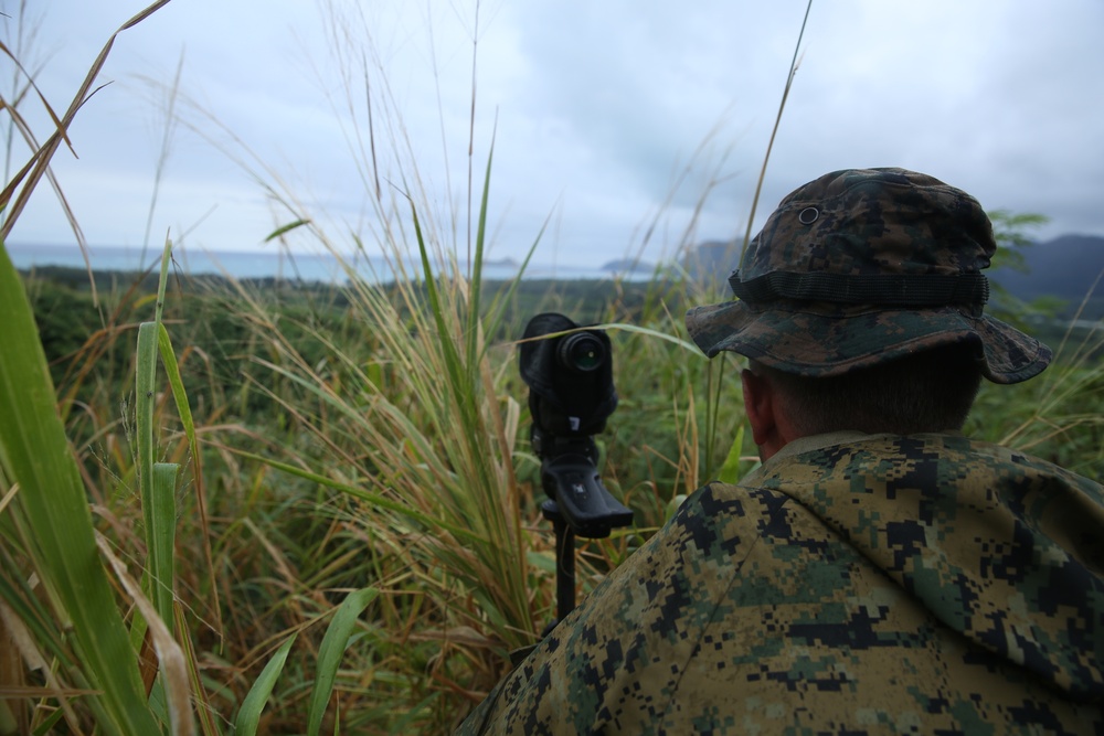 Rumble in the Jungle: 1st Recon Marines train in Hawaii