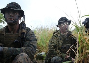 Rumble in the Jungle: 1st Recon Marines train in Hawaii