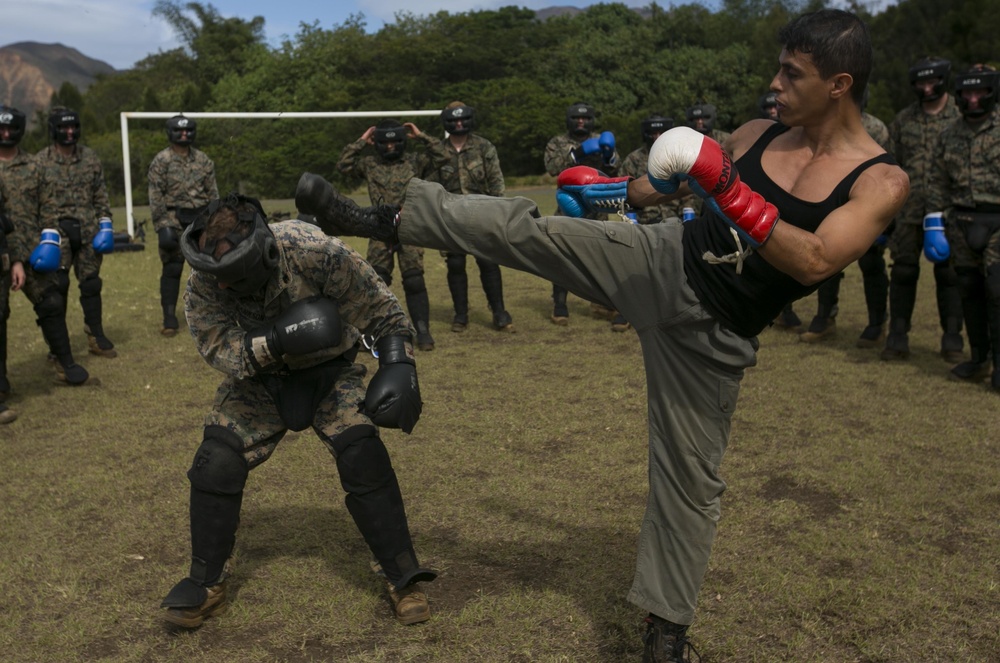 U.S. Marines train with French Armed Forces New Caledonia