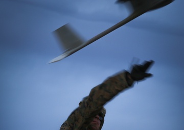 Steel Knight: 2/4’s eyes in the sky