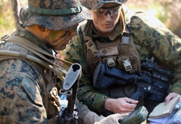 Marines with 2nd LAR conduct patrolling techniques