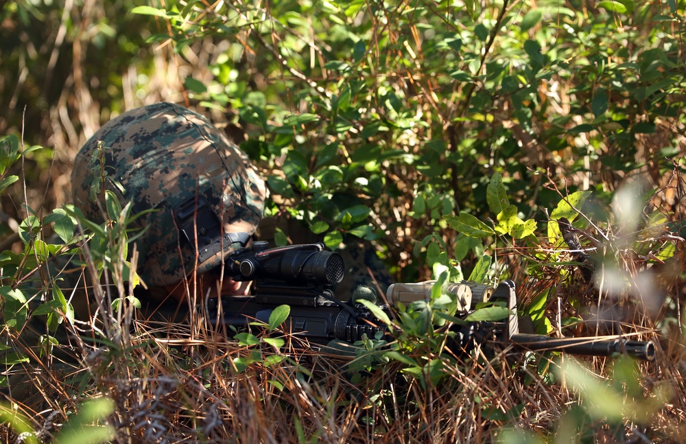Marines with 2nd LAR conduct patrolling techniques