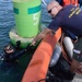 Coast Guard divers, USCGC Walnut conduct AToN in Pacific
