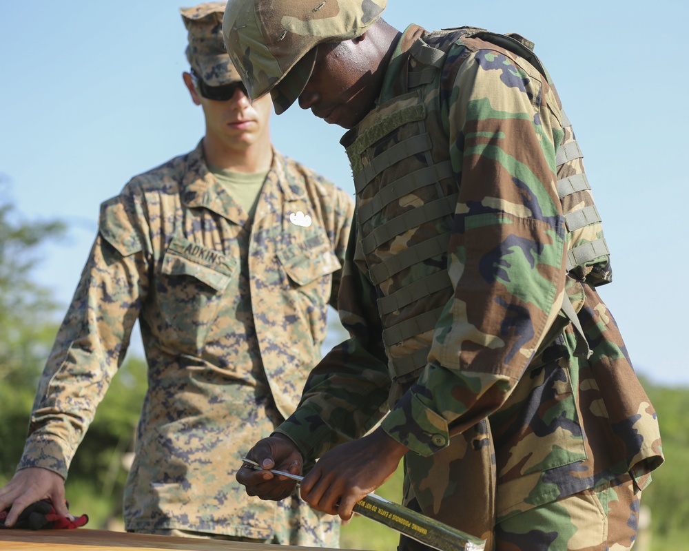 Standing proud: Ugandan soldiers complete U.S. Marine training