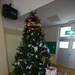 SOFA Personnel bring Christmas joy to Okinawa Residents