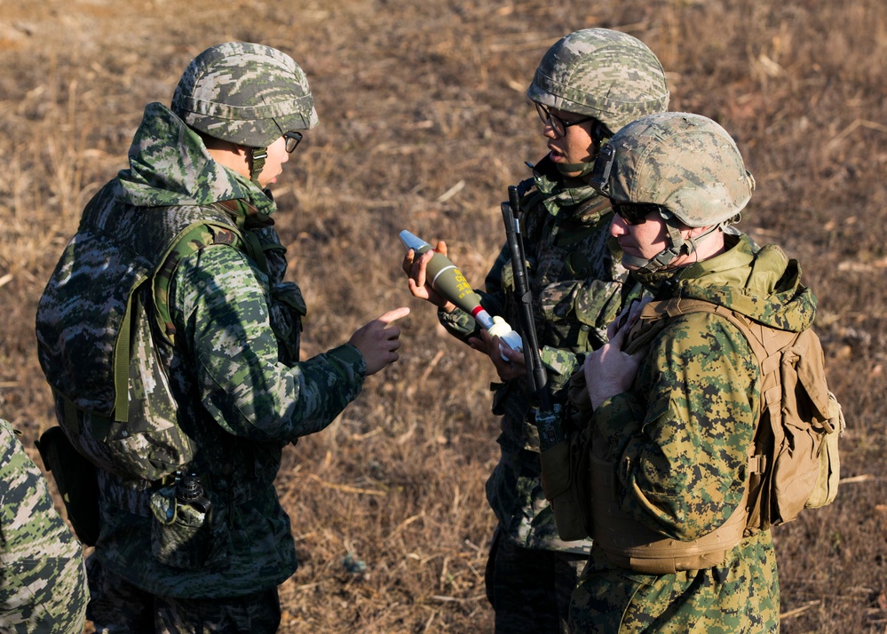 U.S. and ROK Marines conduct live fire excercise