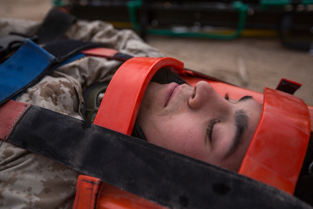 U.S. partners with Canada in mass casualty exercise