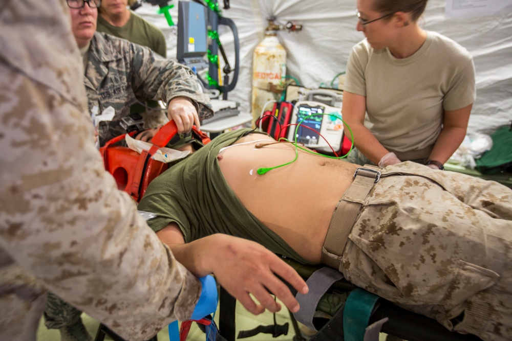 U.S. partners with Canada in mass casualty exercise