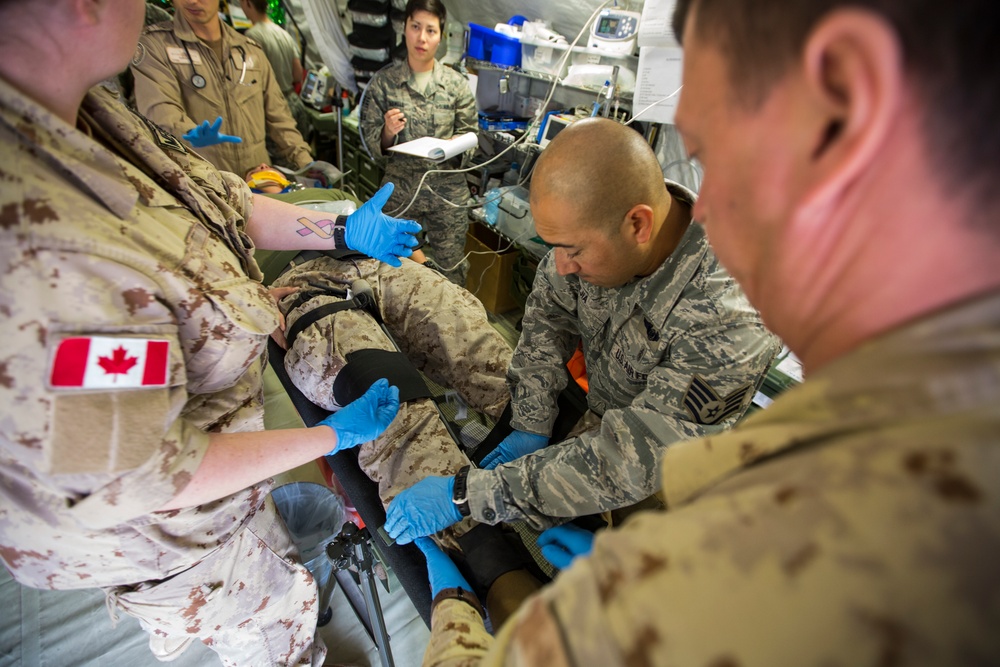 U.S. partners with Canada in mass casualty exercise