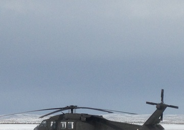 New Mexico National Guard's aviation assets respond to southwest blizzard