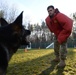 Military police dogs training in Germany