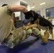 Military police dogs training in Germany