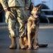 Military police dogs training in Germany