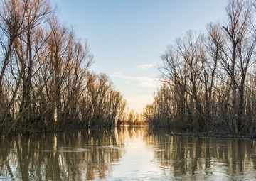 Missouri Guardsmen provide flood relief