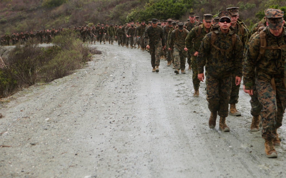 Marines Conduct Back in the Saddle Training