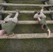 India Company Marines navigate the confidence course