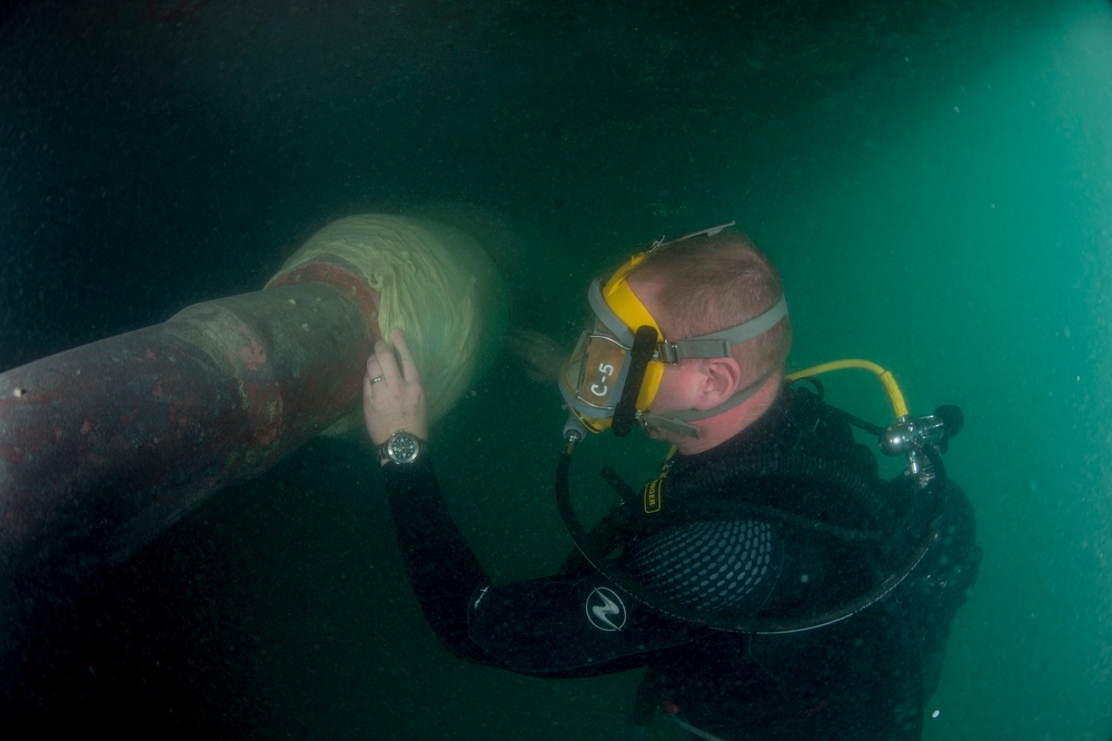 Shaft seal inspection